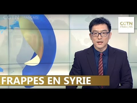 26 combattants pro-Assad auraient été tués dans de nouvelles frappes en Syrie