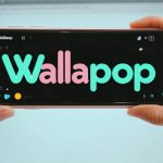 Problemas de Wallapop: El mercado de segunda mano favorito de España enfrenta un tumultuoso fallo tecnológico